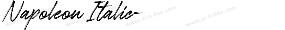 Napoleon Italic字体转换